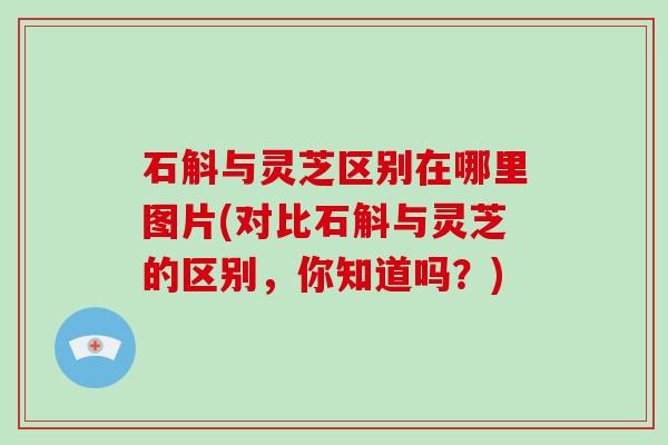 石斛与灵芝区别在哪里图片(对比石斛与灵芝的区别，你知道吗？)