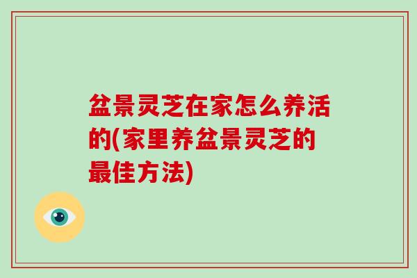 盆景灵芝在家怎么养活的(家里养盆景灵芝的佳方法)