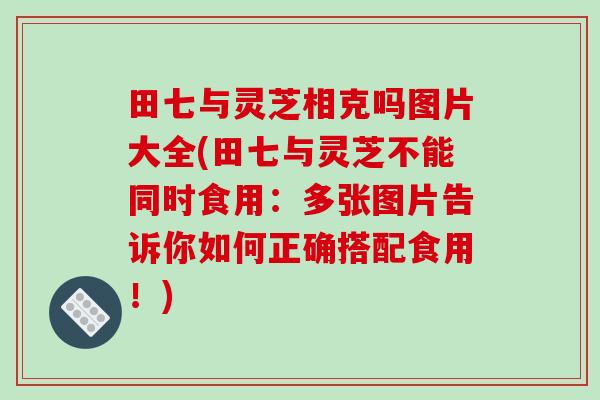 田七与灵芝相克吗图片大全(田七与灵芝不能同时食用：多张图片告诉你如何正确搭配食用！)