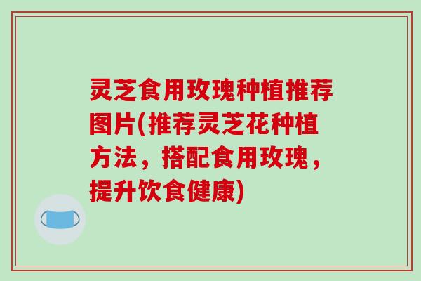 灵芝食用玫瑰种植推荐图片(推荐灵芝花种植方法，搭配食用玫瑰，提升饮食健康)