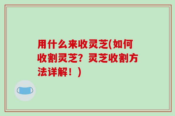 用什么来收灵芝(如何收割灵芝？灵芝收割方法详解！)