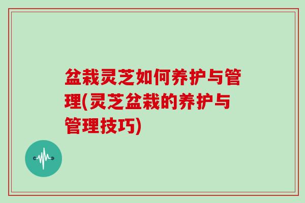 盆栽灵芝如何养护与管理(灵芝盆栽的养护与管理技巧) 盆栽灵芝如何养护与管理(灵芝盆栽的养护与管理技巧)