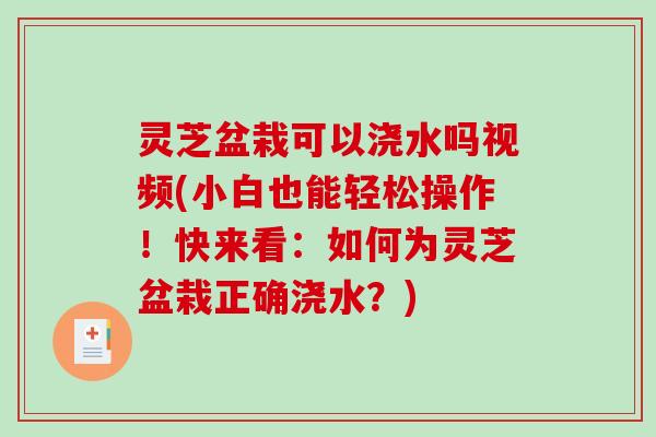 灵芝盆栽可以浇水吗视频(小白也能轻松操作!快来看:如何为灵芝盆栽正确浇水?) 灵芝盆栽可以浇水吗视频(小白也能轻松操作!快来看:如何为灵芝盆栽正确浇水?)