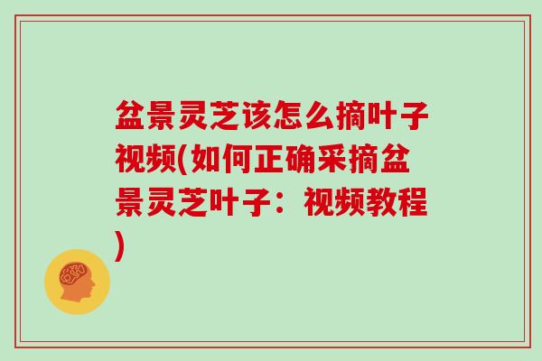 盆景灵芝该怎么摘叶子视频(如何正确采摘盆景灵芝叶子:视频教程) 盆景灵芝该怎么摘叶子视频(如何正确采摘盆景灵芝叶子:视频教程)
