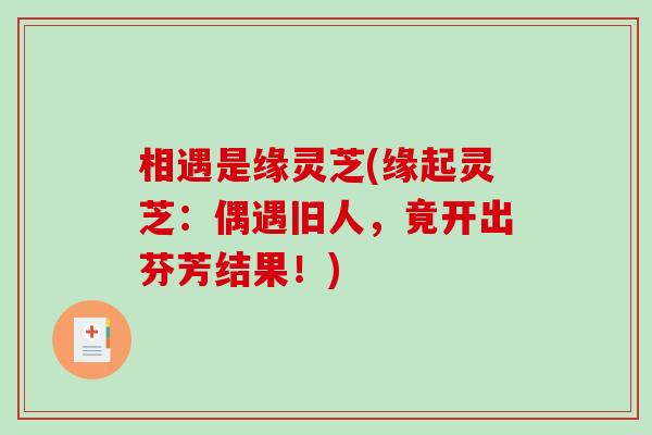 相遇是缘灵芝(缘起灵芝:偶遇旧人,竟开出芬芳结果!) 相遇是缘灵芝(缘起灵芝:偶遇旧人,竟开出芬芳结果!)