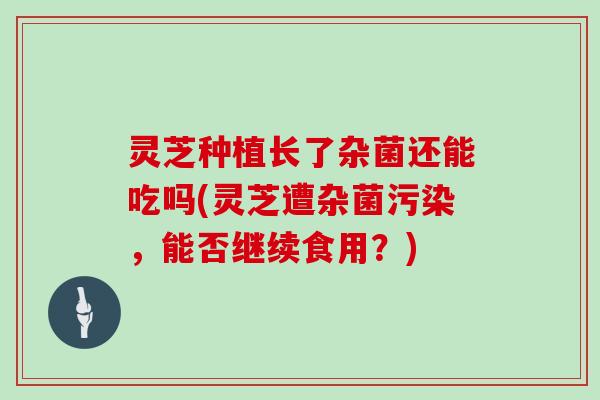灵芝种植长了杂菌还能吃吗(灵芝遭杂菌污染，能否继续食用？)