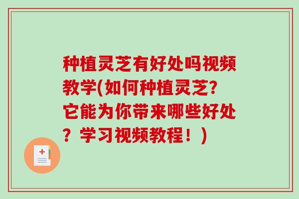 种植灵芝有好处吗视频教学(如何种植灵芝?它能为你带来哪些好处?学习视频教程!) 种植灵芝有好处吗视频教学(如何种植灵芝?它能为你带来哪些好处?学习视频教程!)