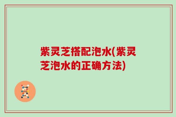 紫灵芝搭配泡水(紫灵芝泡水的正确方法) 紫灵芝搭配泡水(紫灵芝泡水的正确方法)