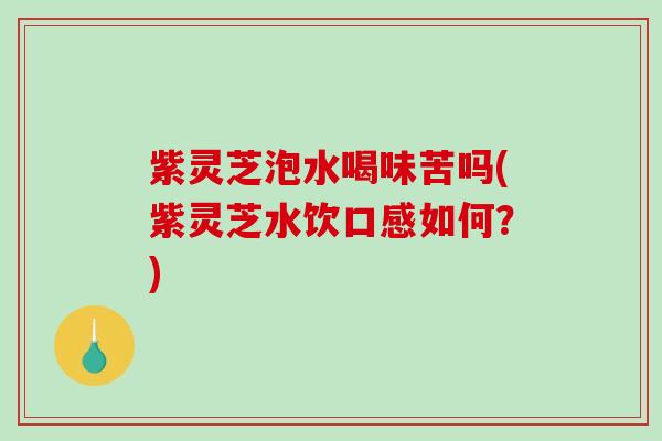 紫灵芝泡水喝味苦吗(紫灵芝水饮口感如何?) 紫灵芝泡水喝味苦吗(紫灵芝水饮口感如何?)