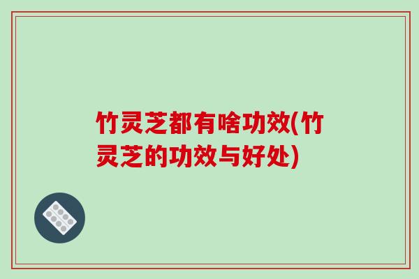 竹灵芝都有啥功效(竹灵芝的功效与好处) 竹灵芝都有啥功效(竹灵芝的功效与好处)
