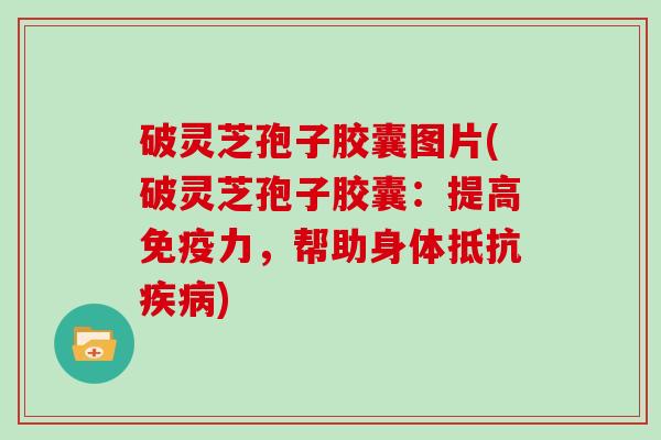 破灵芝孢子胶囊图片(破灵芝孢子胶囊:提高免疫力,帮助身体抵抗) 破灵芝孢子胶囊图片(破灵芝孢子胶囊:提高免疫力,帮助身体抵抗)