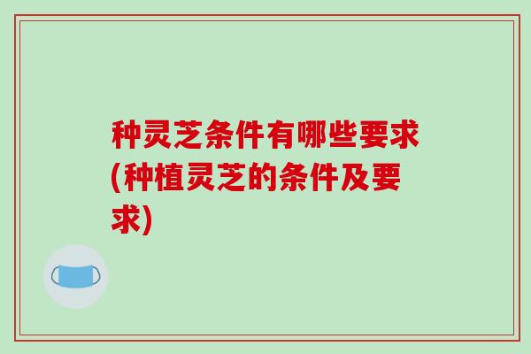 种灵芝条件有哪些要求(种植灵芝的条件及要求) 种灵芝条件有哪些要求(种植灵芝的条件及要求)