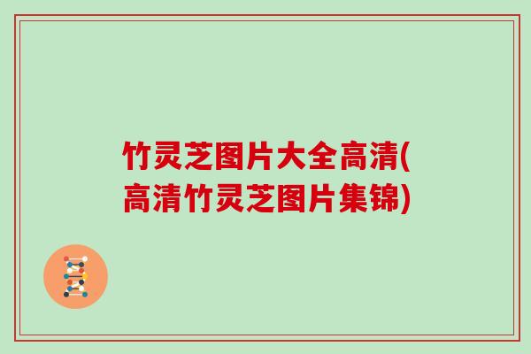 竹灵芝图片大全高清(高清竹灵芝图片集锦) 竹灵芝图片大全高清(高清竹灵芝图片集锦)