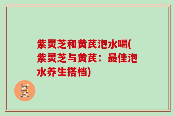 紫灵芝和黄芪泡水喝(紫灵芝与黄芪:佳泡水养生搭档) 紫灵芝和黄芪泡水喝(紫灵芝与黄芪:佳泡水养生搭档)