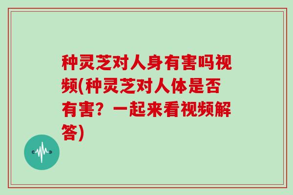 种灵芝对人身有害吗视频(种灵芝对人体是否有害?一起来看视频解答) 种灵芝对人身有害吗视频(种灵芝对人体是否有害?一起来看视频解答)