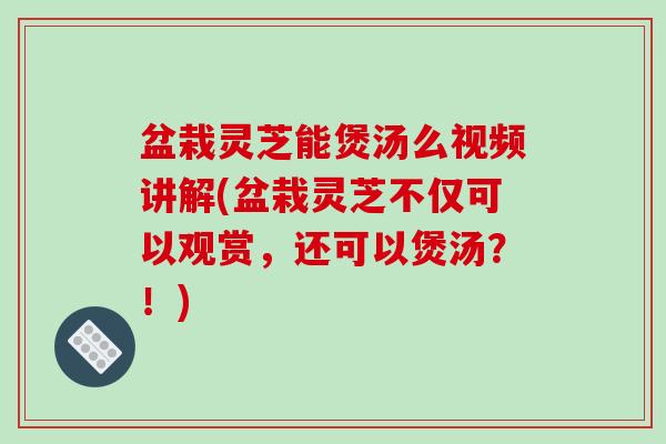 盆栽灵芝能煲汤么视频讲解(盆栽灵芝不仅可以观赏，还可以煲汤？！)