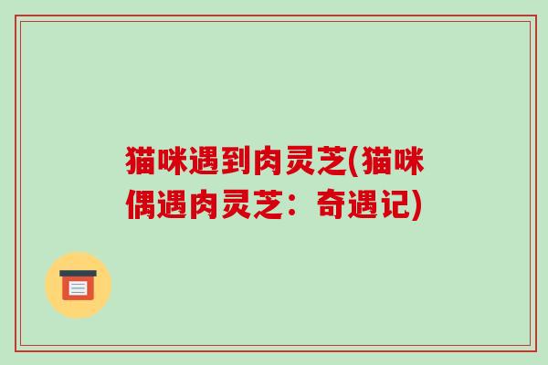 猫咪遇到肉灵芝(猫咪偶遇肉灵芝:奇遇记) 猫咪遇到肉灵芝(猫咪偶遇肉灵芝:奇遇记)