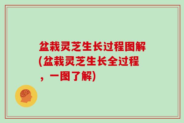 盆栽灵芝生长过程图解(盆栽灵芝生长全过程,一图了解) 盆栽灵芝生长过程图解(盆栽灵芝生长全过程,一图了解)