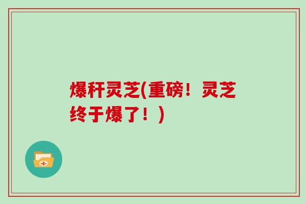 爆秆灵芝(重磅！灵芝终于爆了！)