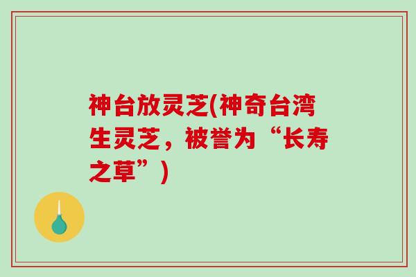 神台放灵芝(神奇台湾生灵芝,被誉为“长寿之草”) 神台放灵芝(神奇台湾生灵芝,被誉为“长寿之草”)