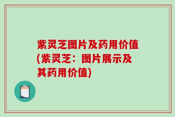 紫灵芝图片及药用价值(紫灵芝:图片展示及其药用价值) 紫灵芝图片及药用价值(紫灵芝:图片展示及其药用价值)