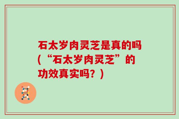 石太岁肉灵芝是真的吗(“石太岁肉灵芝”的功效真实吗?) 石太岁肉灵芝是真的吗(“石太岁肉灵芝”的功效真实吗?)