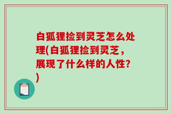 白狐狸捡到灵芝怎么处理(白狐狸捡到灵芝，展现了什么样的人性？)