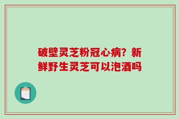 破壁灵芝粉?新鲜野生灵芝可以泡酒吗 破壁灵芝粉?新鲜野生灵芝可以泡酒吗