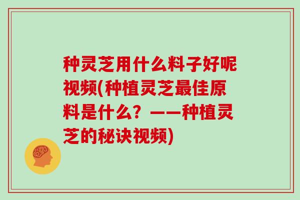 种灵芝用什么料子好呢视频(种植灵芝佳原料是什么？——种植灵芝的秘诀视频)