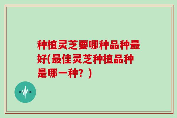种植灵芝要哪种品种好(佳灵芝种植品种是哪一种？)