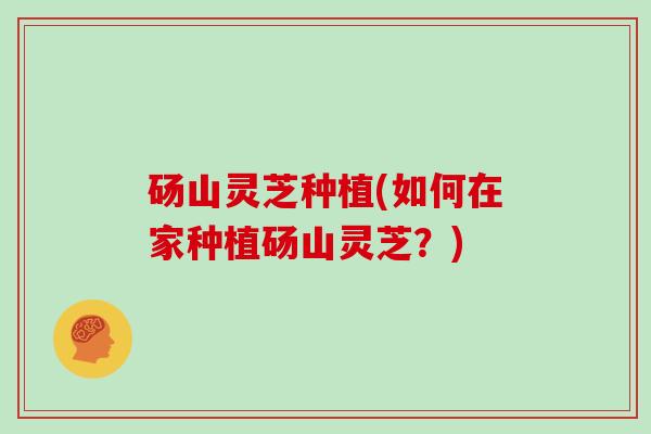 砀山灵芝种植(如何在家种植砀山灵芝?) 砀山灵芝种植(如何在家种植砀山灵芝?)