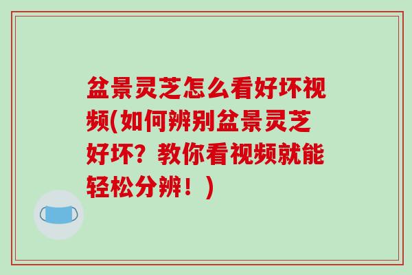 盆景灵芝怎么看好坏视频(如何辨别盆景灵芝好坏？教你看视频就能轻松分辨！)
