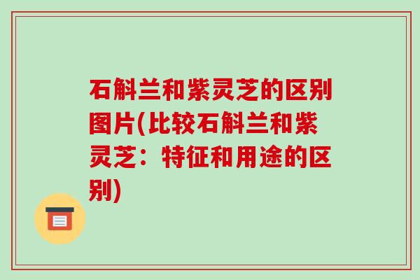 石斛兰和紫灵芝的区别图片(比较石斛兰和紫灵芝:特征和用途的区别) 石斛兰和紫灵芝的区别图片(比较石斛兰和紫灵芝:特征和用途的区别)