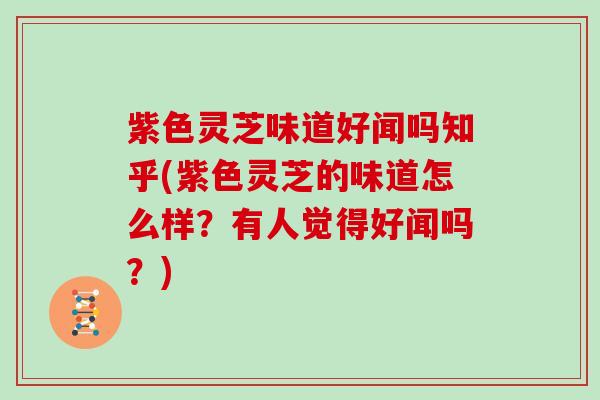 紫色灵芝味道好闻吗知乎(紫色灵芝的味道怎么样?有人觉得好闻吗?) 紫色灵芝味道好闻吗知乎(紫色灵芝的味道怎么样?有人觉得好闻吗?)