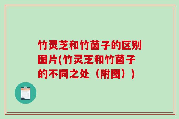 竹灵芝和竹菌子的区别图片(竹灵芝和竹菌子的不同之处(附图)) 竹灵芝和竹菌子的区别图片(竹灵芝和竹菌子的不同之处(附图))