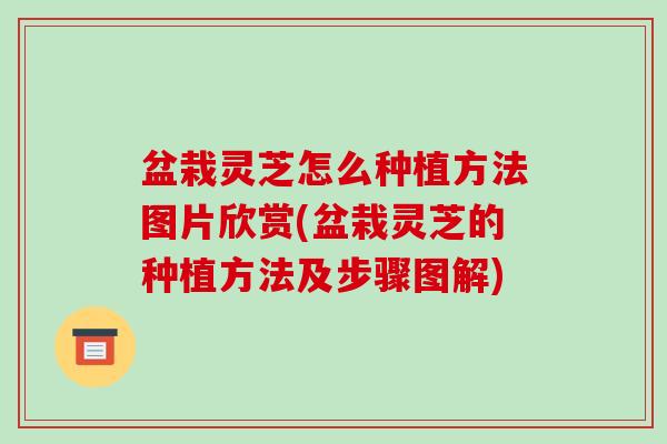 盆栽灵芝怎么种植方法图片欣赏(盆栽灵芝的种植方法及步骤图解) 盆栽灵芝怎么种植方法图片欣赏(盆栽灵芝的种植方法及步骤图解)