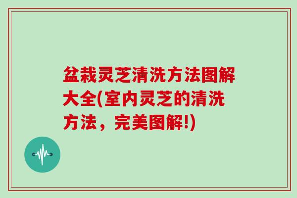 盆栽灵芝清洗方法图解大全(室内灵芝的清洗方法,完美图解!) 盆栽灵芝清洗方法图解大全(室内灵芝的清洗方法,完美图解!)