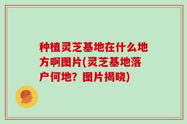 种植灵芝基地在什么地方啊图片(灵芝基地落户何地?图片揭晓) 种植灵芝基地在什么地方啊图片(灵芝基地落户何地?图片揭晓)