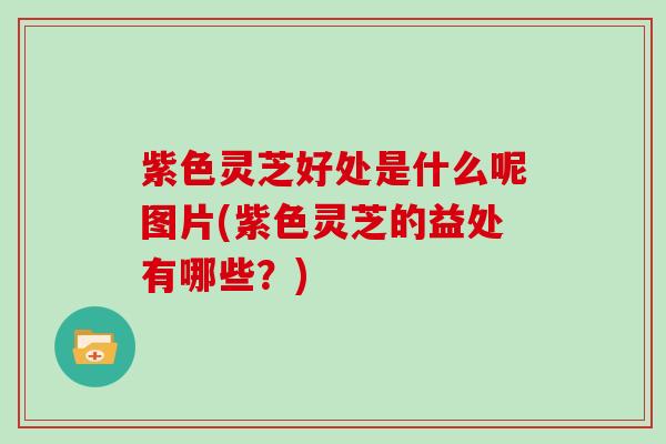 紫色灵芝好处是什么呢图片(紫色灵芝的益处有哪些?) 紫色灵芝好处是什么呢图片(紫色灵芝的益处有哪些?)