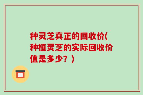 种灵芝真正的回收价(种植灵芝的实际回收价值是多少？)