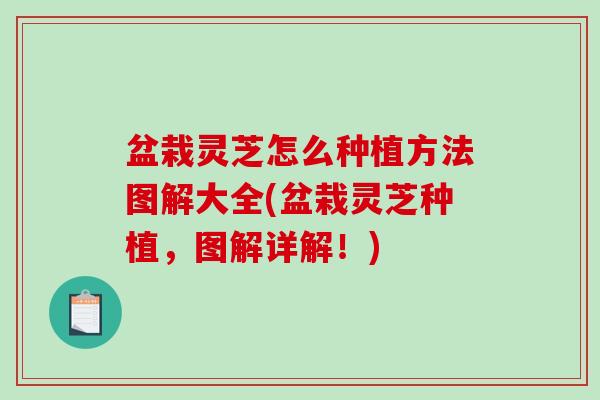 盆栽灵芝怎么种植方法图解大全(盆栽灵芝种植，图解详解！)