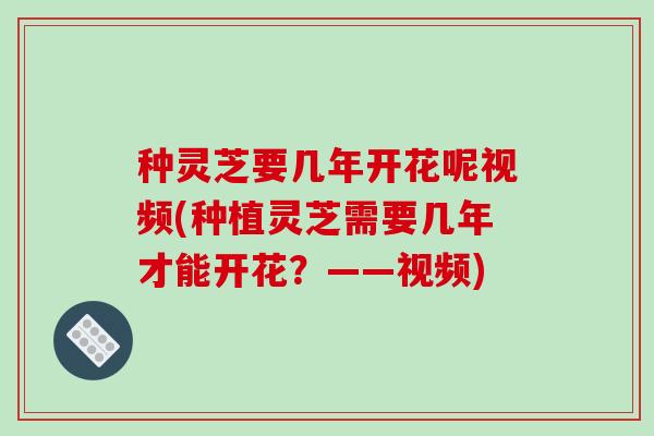 种灵芝要几年开花呢视频(种植灵芝需要几年才能开花?——视频) 种灵芝要几年开花呢视频(种植灵芝需要几年才能开花?——视频)