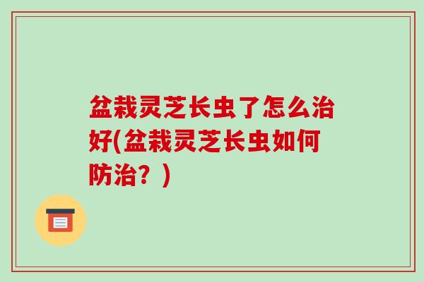盆栽灵芝长虫了怎么好(盆栽灵芝长虫如何防？)