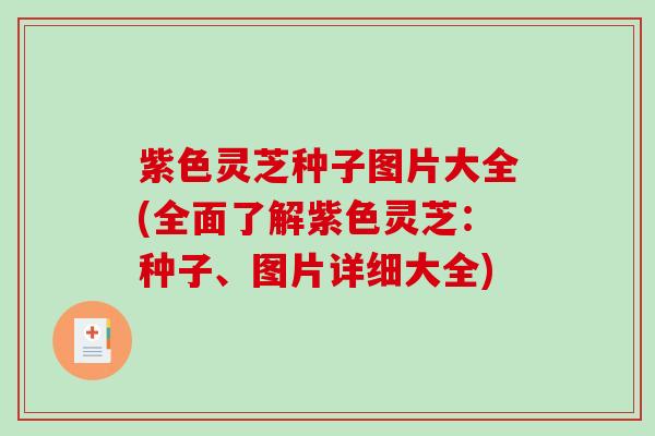 紫色灵芝种子图片大全(全面了解紫色灵芝：种子、图片详细大全)
