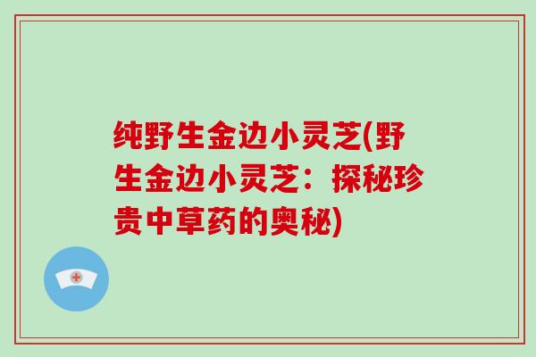 纯野生金边小灵芝(野生金边小灵芝：探秘珍贵中草药的奥秘)