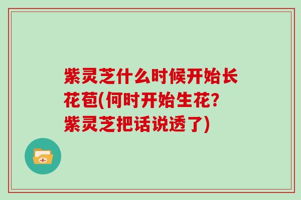 紫灵芝什么时候开始长花苞(何时开始生花?紫灵芝把话说透了) 紫灵芝什么时候开始长花苞(何时开始生花?紫灵芝把话说透了)