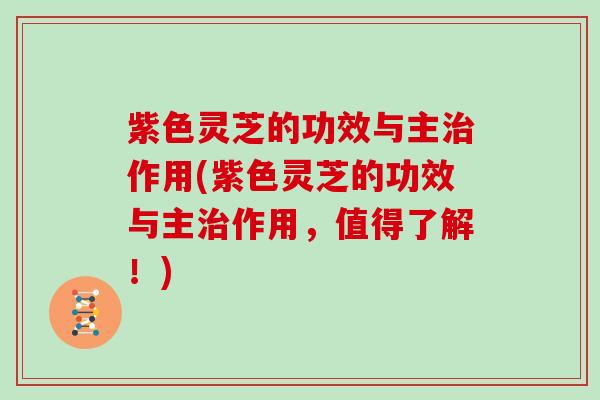 紫色灵芝的功效与主作用(紫色灵芝的功效与主作用,值得了解!) 紫色灵芝的功效与主作用(紫色灵芝的功效与主作用,值得了解!)