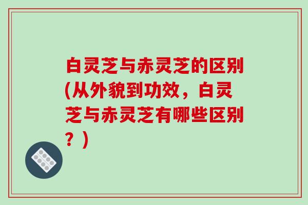 白灵芝与赤灵芝的区别(从外貌到功效,白灵芝与赤灵芝有哪些区别?) 白灵芝与赤灵芝的区别(从外貌到功效,白灵芝与赤灵芝有哪些区别?)
