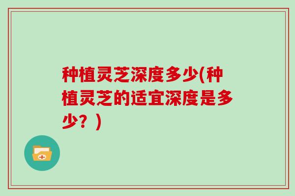 种植灵芝深度多少(种植灵芝的适宜深度是多少?) 种植灵芝深度多少(种植灵芝的适宜深度是多少?)