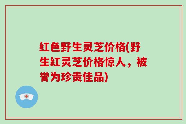 红色野生灵芝价格(野生红灵芝价格惊人,被誉为珍贵佳品) 红色野生灵芝价格(野生红灵芝价格惊人,被誉为珍贵佳品)